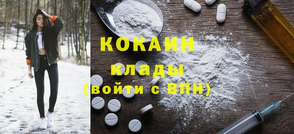 кокс Алексин
