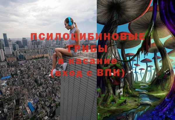 кокс Алексин