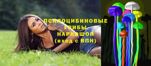 кокс Алексин