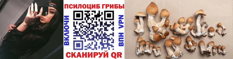 Псилоцибиновые грибы GOLDEN TEACHER  мега ONION  Заволжье 